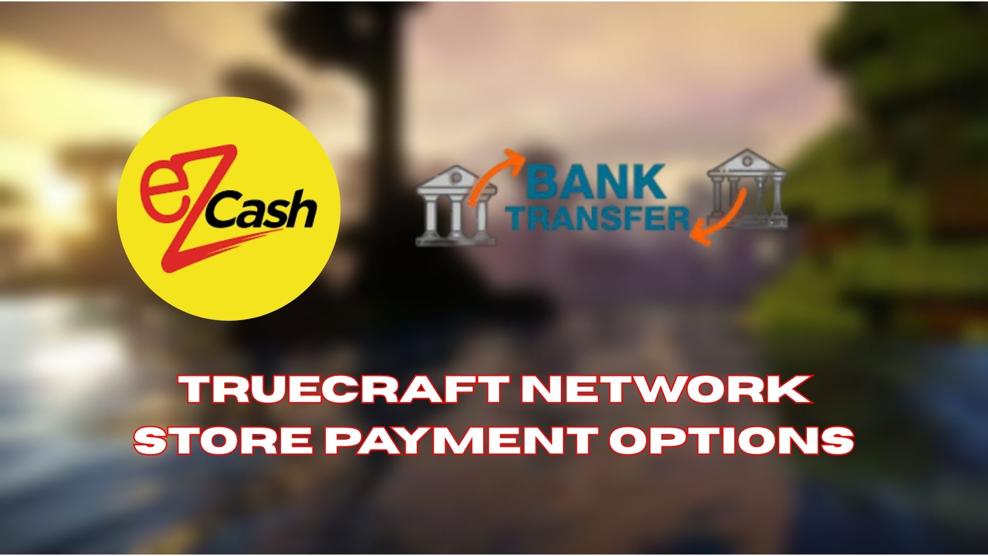 TrueCraft Network Store – Our New Custom System